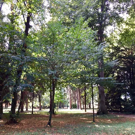 Bed and breakfast Tenuta Il Palazzasso
