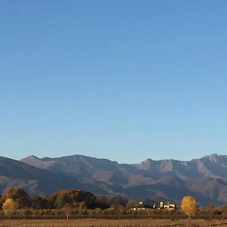 Tenuta Il Palazzasso *