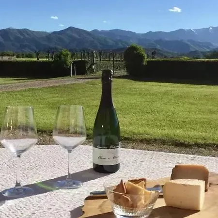 Tenuta Il Palazzasso * Caraglio