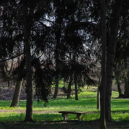 Tenuta Il Palazzasso *